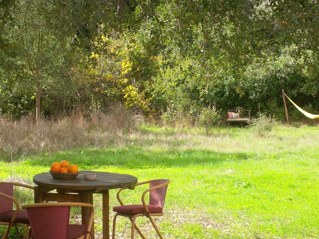 Quiet And Cottage In The Estate Casas Da Cerca Troviscais Bagian luar foto